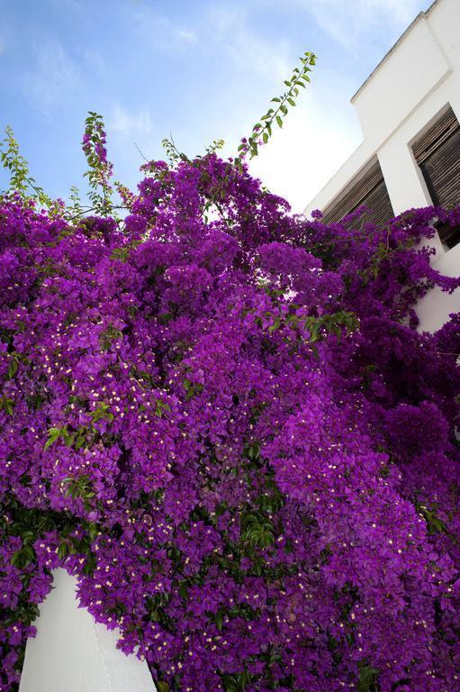 Haspeyma Otel Bodrum Exteriör bild